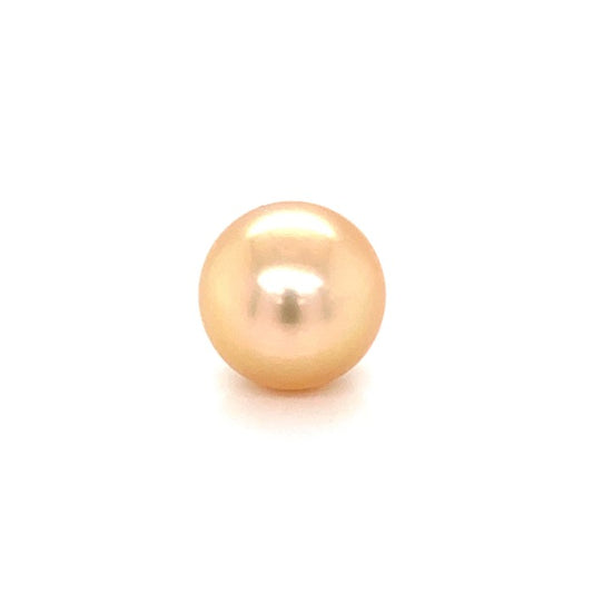 Golden South Sea Pearl / Mutiara Pacific Selatan Diameter 14.2 mm
